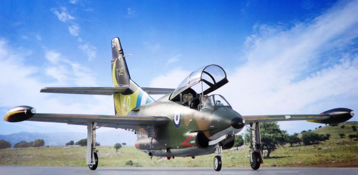Special Hobby 32087 T-2 Buckeye Anniversary Markings 1/32 – image 16