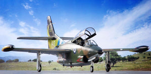 Special Hobby 32087 T-2 Buckeye Anniversary Markings 1/32 – image 16
