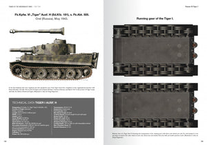 Abteilung 502 ABT760 TANKS OF THE WEHRMACHT WWII · CARLOS DE DIEGO VAQUERIZO – Bild 2