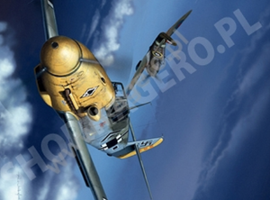 Kagero 7076 Messerschmitt Bf 109 F EN/PL – image 2