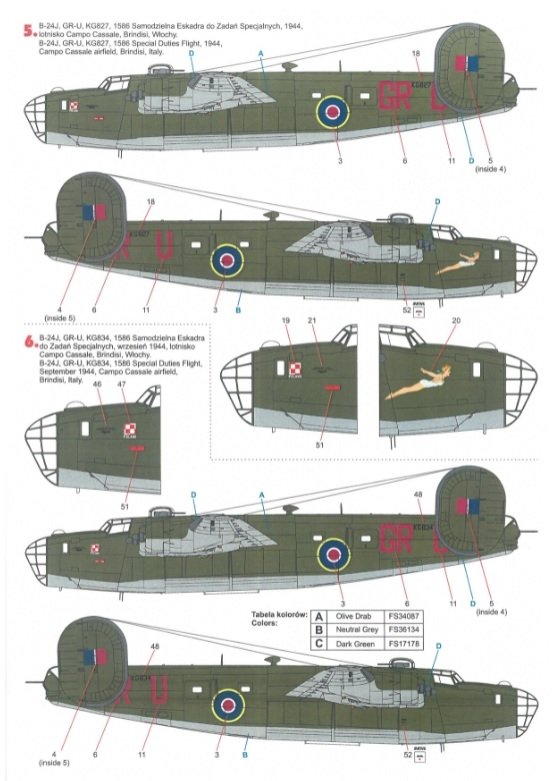 Techmod 48823 B-24 Liberator 1/48 – Bild 6