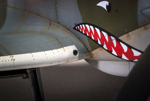 Airfix 17002 Supermarine Spitfire Mk.VIII 1/24 – image 12