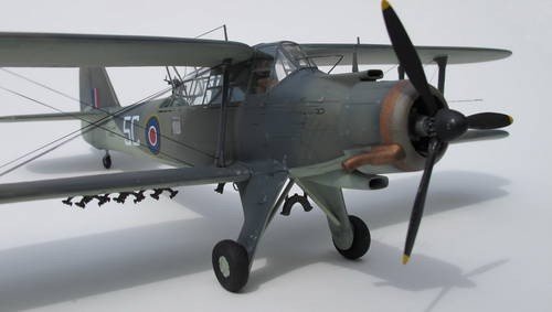 Special Hobby 48045 Fairey Albacore Mk.I 1/48 – image 4