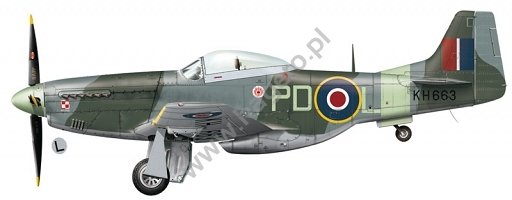 Kagero KD48003 Mustangs over Europe Part 1 Nos. 303 &amp;amp; 309 Squadrons 1/48 – image 6