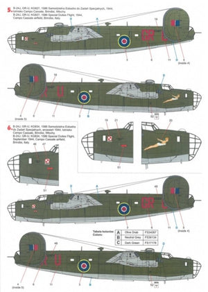 Techmod 72163 B-24 Liberator 1/72 – Bild 5
