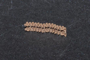 Trumpeter 02061 Workable Track links for French R35 1/35 – image 2