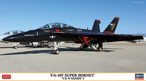 Hasegawa 02447 F/A-18F Super Hornet &amp;#39;VX-9 Vandy 1&amp;#39; 1/72