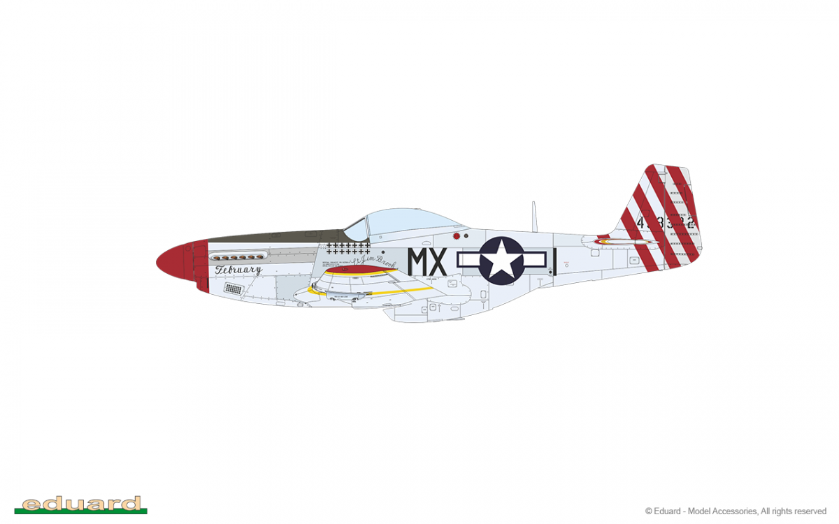 Eduard 11159 RED TAILS &amp;amp; Co. DUAL COMBO 1/48 – imagen 15
