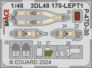 Eduard 3DL48170 P-47D-30 SPACE MINIART 1/48 – image 3