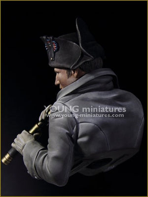 Young Miniatures YH1846 NAPOLEON at Austerliz 1/10 – zdjęcie 5