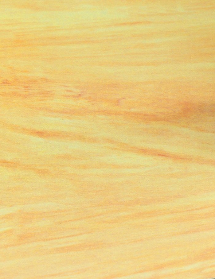 Hasegawa TF944 Woodgrain finish (maple) – Bild 4