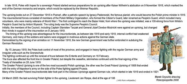 ToRo Modèle 35F114 Forces de Grande-Pologne 1919 - Général Józef Dwobor-Muśnicki / Forces de Grande-Pologne 1919 Général Józef Dwobor-Muśnicki Commandant en chef des Forces de Grande-Pologne 1/35 – image 3