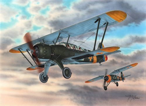 Special Hobby 72293 IAR 38 (1/72)