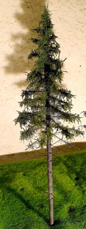 FREON SG1 Mountain Spruce - Larger Highland Spruce 26/28 cm 3 pieces – Bild 2