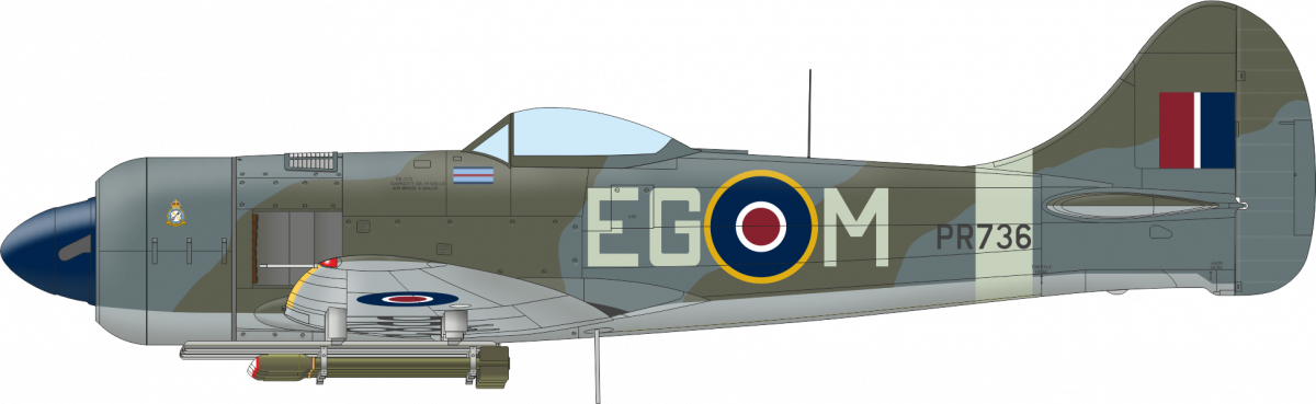 Eduard 11164 The Ultimate Tempest Limited Edition 1/48 – image 8
