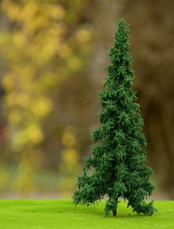 FREON SWI1 Norway spruce - Norway spruce, low trunk (full) 18/20cm
