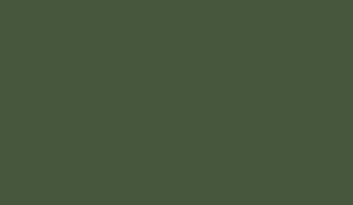 Lifecolor UA479 - Dunkelgrun Gris 22ml