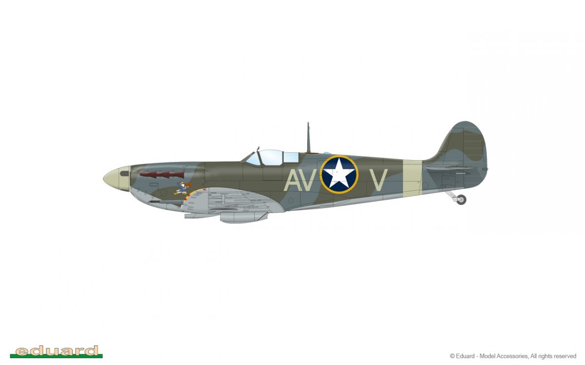 Eduard 84186 Spitfire Mk. Vb mid 1/48 – immagine 12