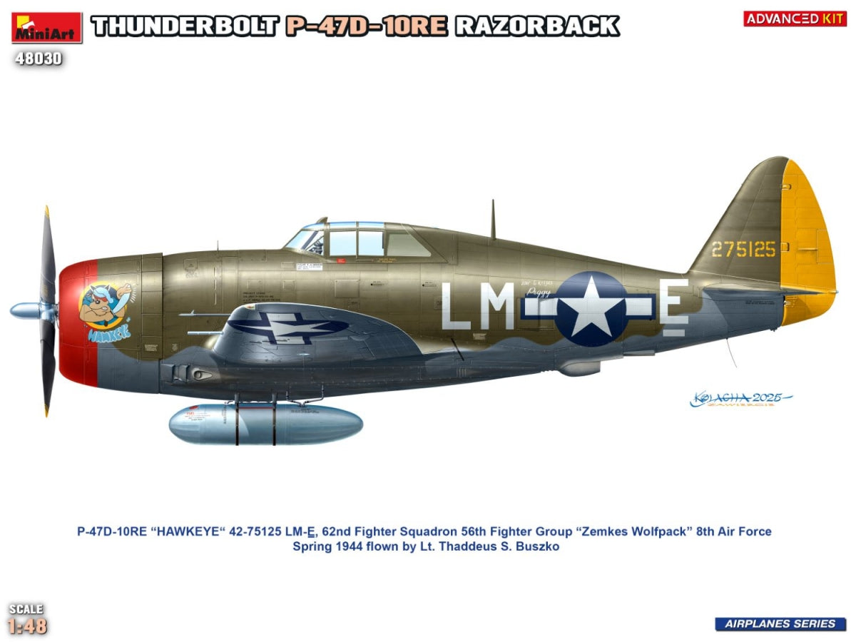 MiniArt 48030 Thunderbolt P-47D-10RE Razorback Advanced Kit 1/48