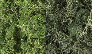 Woodland Scenic WL168 Scrub - Dark Green Mix Lichen