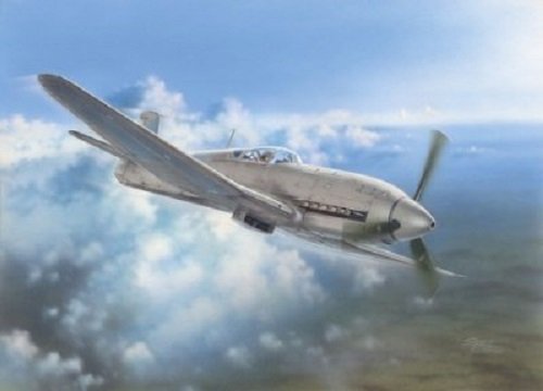 Specjal Hobby 32045 Heinkel He 100D Soviet and Japanese (1/32)