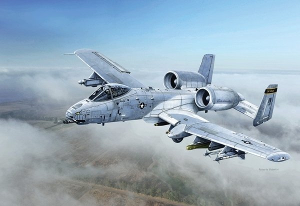 Italeri 2725 A-10C Blacksnackes 1/48