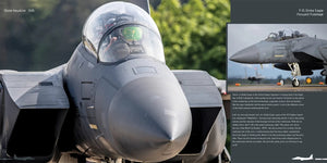 HMH Publications DH-026 Boeing F-15 E/K/SG Strike Eagle - Aircraft in Detail 026 (English Version) – image 3