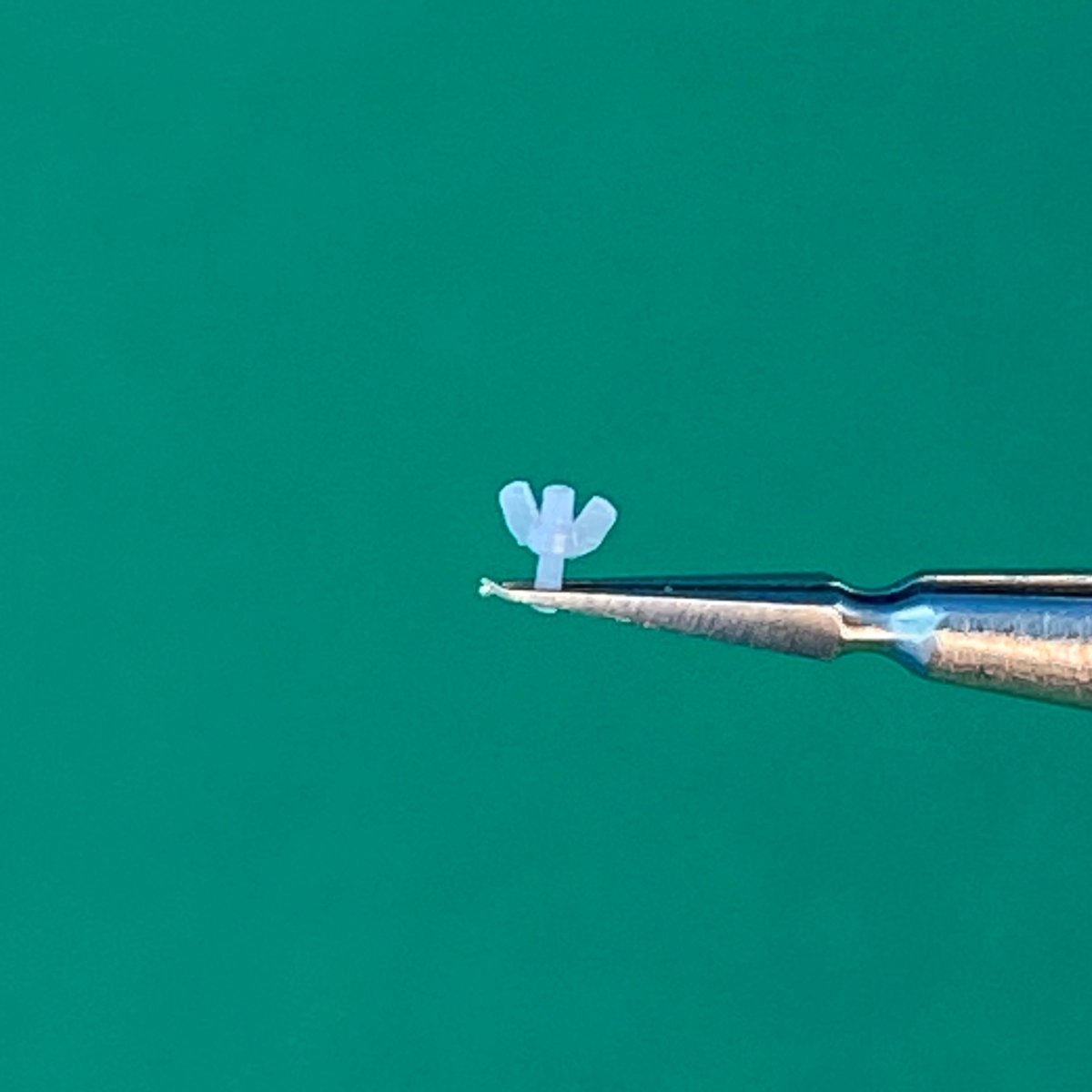 Point of no Return 1623001 M6 wing nuts 1/16 – obrázek 9