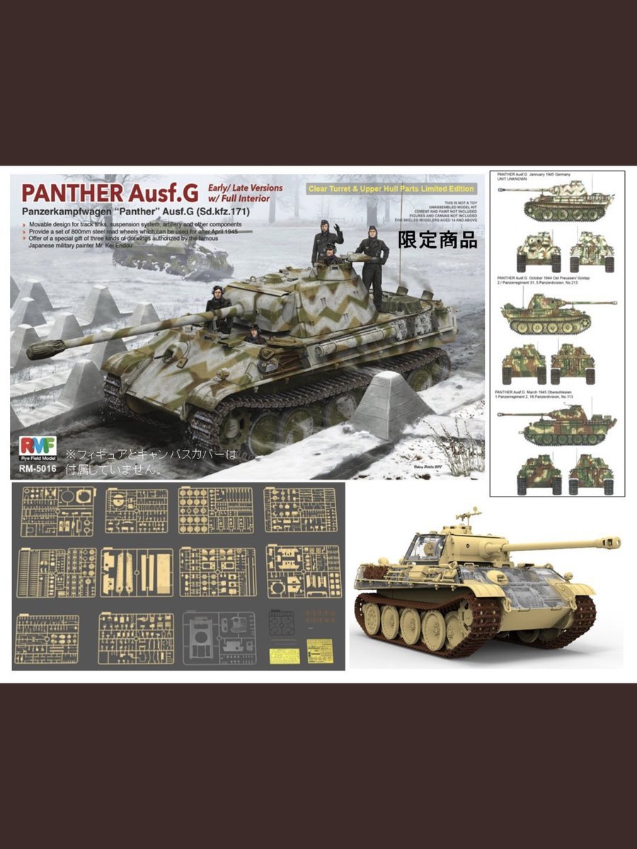 Rye Field Model 5016 Panther Ausf.G Early/Late w/full interior 1/35 – image 2