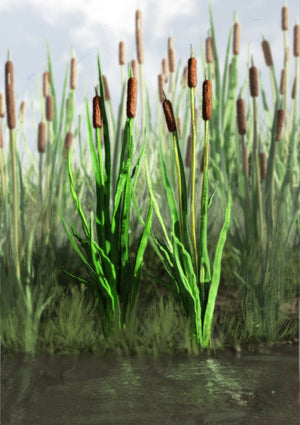 RT-Diorama 35400 Cattail Grass 1/35 – image 2
