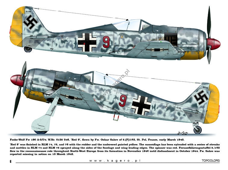 Kagero 15035 Fw 190s over Europe Part I (decals) EN/PL – Bild 5