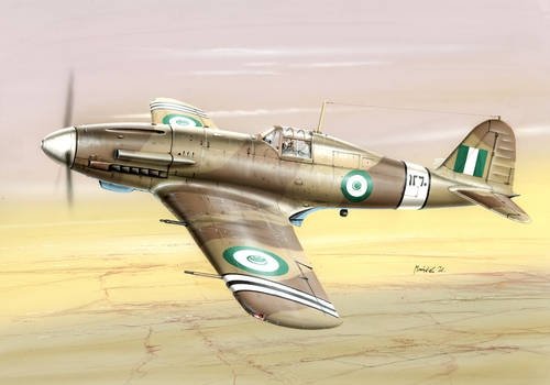 Special Hobby 48087 Fiat G.55A Post War Service 1/48