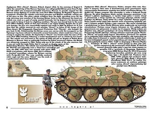 Kagero 15039 Captured Panzers German Vehicles in Allied Service (kalkomania) PL/EN – zdjęcie 2