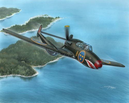Special Hobby 72215 SAAB J-21A 1/72