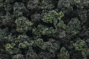 Woodland Scenics WFC149 Forest Blend Bushes (412cm3)