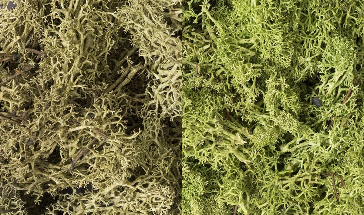 Woodland Scenic WL167 Scrubs - Light Green Mix Lichen