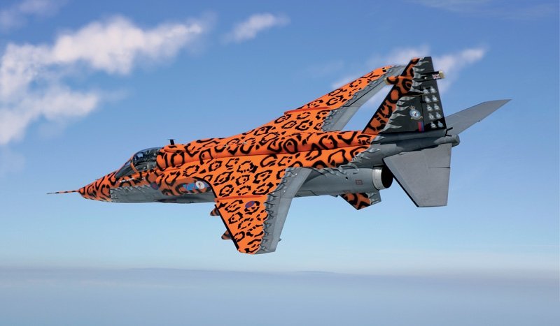 Italeri 1357 JAGUAR Gr.3 &amp;quot;BIG CAT&amp;quot; Special Colors 1/72
