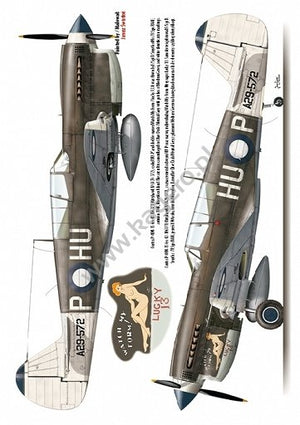 Kagero 7037 Curtiss P-40 F,K,L,M,N models EN/PL – immagine 5