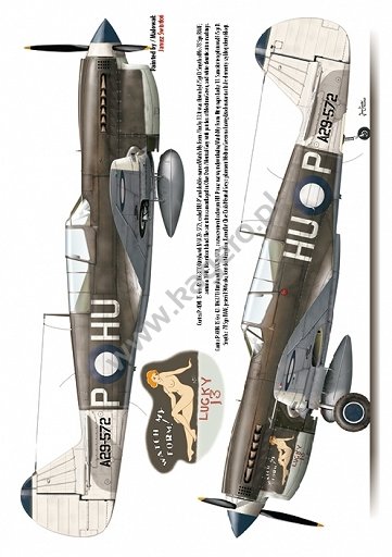 Kagero 7037 Curtiss P-40 F,K,L,M,N models EN/PL – immagine 5