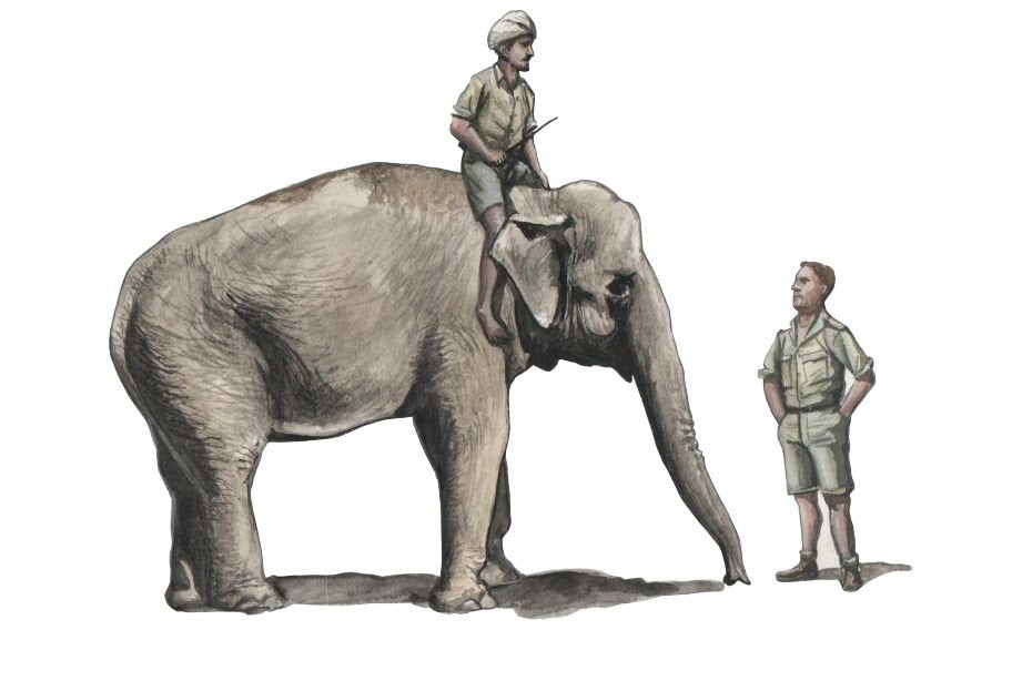 CMK F48345 WWII RAF Mechanic in India + Elephant with Mahout 1/48 – obrázek 3