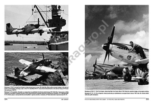 Kagero 19012 P-51/F-6 Mustangs with the USAAF – in the MTO, Asia and Pacific EN/PL – Bild 3