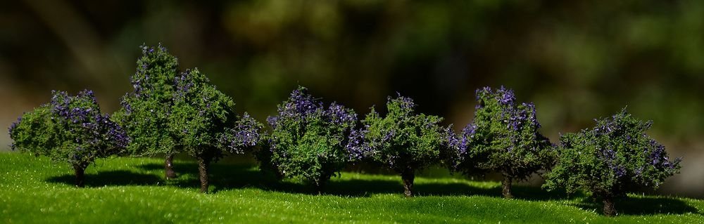 FREON KRZBEZ Lilac bushes - Lilac bushes 2/4cm (10 pcs)