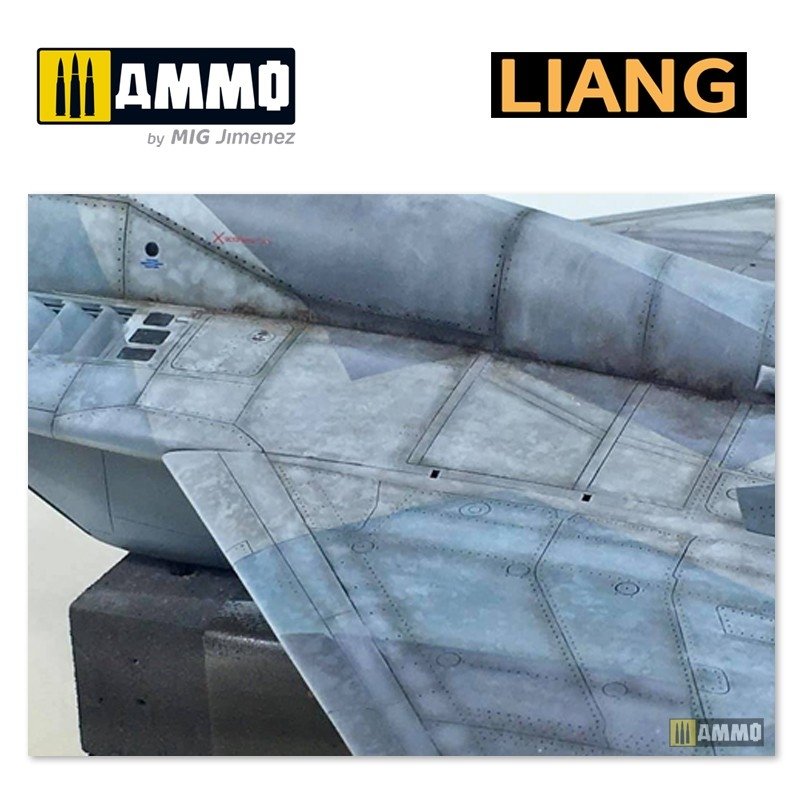 Liang 0007 Salt Weathering Effects Airbrush Stencils (Intensive) – image 8