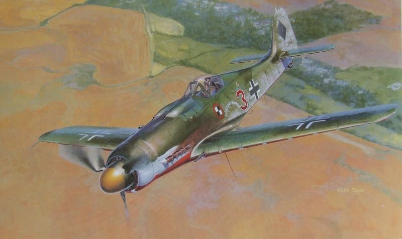 Hasegawa ST19 Fockewulf Fw 190D-9 1/32