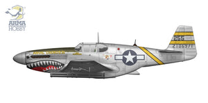 Arma Hobby 70075 P-51B Mustang Chine, Birmanie, Inde 1/72 – image 3
