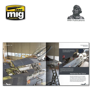 Publications HMH DH-002 Avion en détail : F-16 Fighting Falcon – image 4
