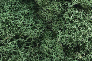 Woodland Scenics WL162 Light Green Lichen