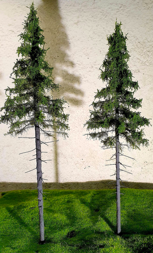FREON SG1 Mountain Spruce - Larger Highland Spruce 26/28 cm 3 pieces – Bild 4