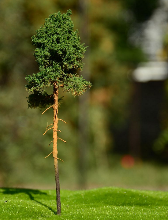 FREON SOM3 Young pine - Young pine 8/12 cm