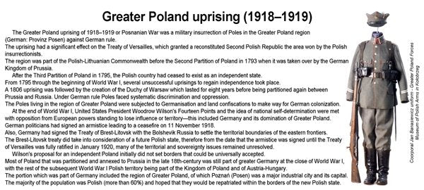ToRo Model 35F112 War 1920 - Poznań Volunteer Death Battalion / Greater Poland Forces 1919 Poznan volunteer Death Battalion, Vilnius area, April 1919 1/35 – Bild 3